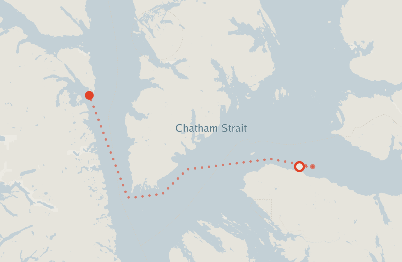 Activity map — real sighting points on an OpenStreetMap basemap