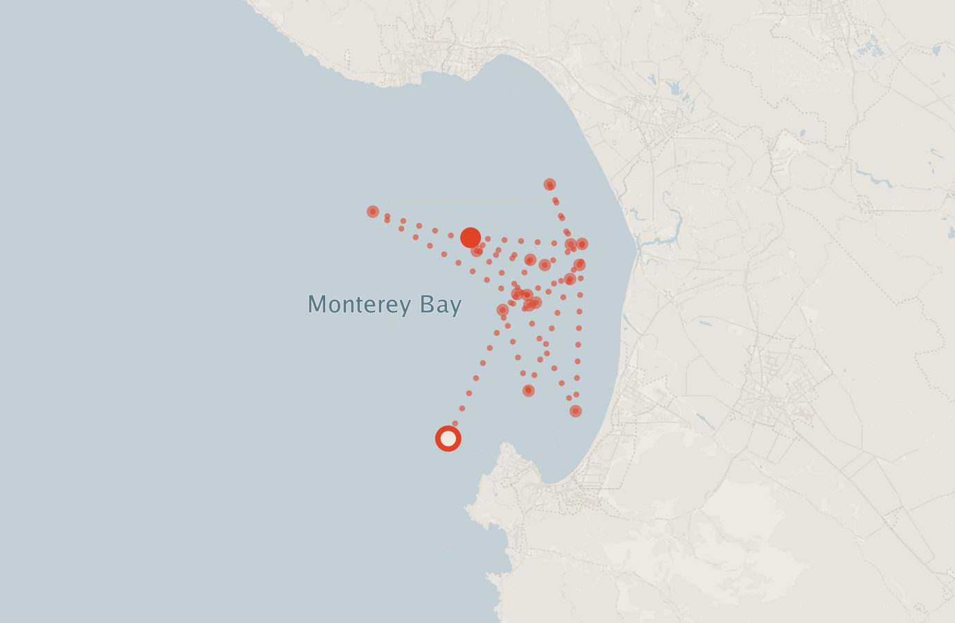 Activity map — real sighting points on an OpenStreetMap basemap