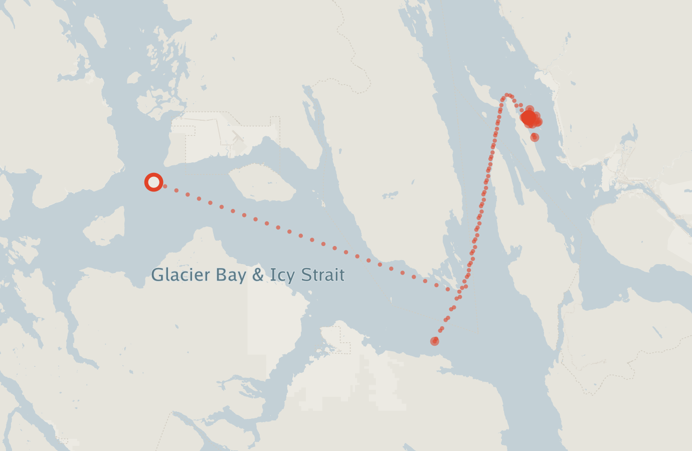 Activity map — real sighting points on an OpenStreetMap basemap