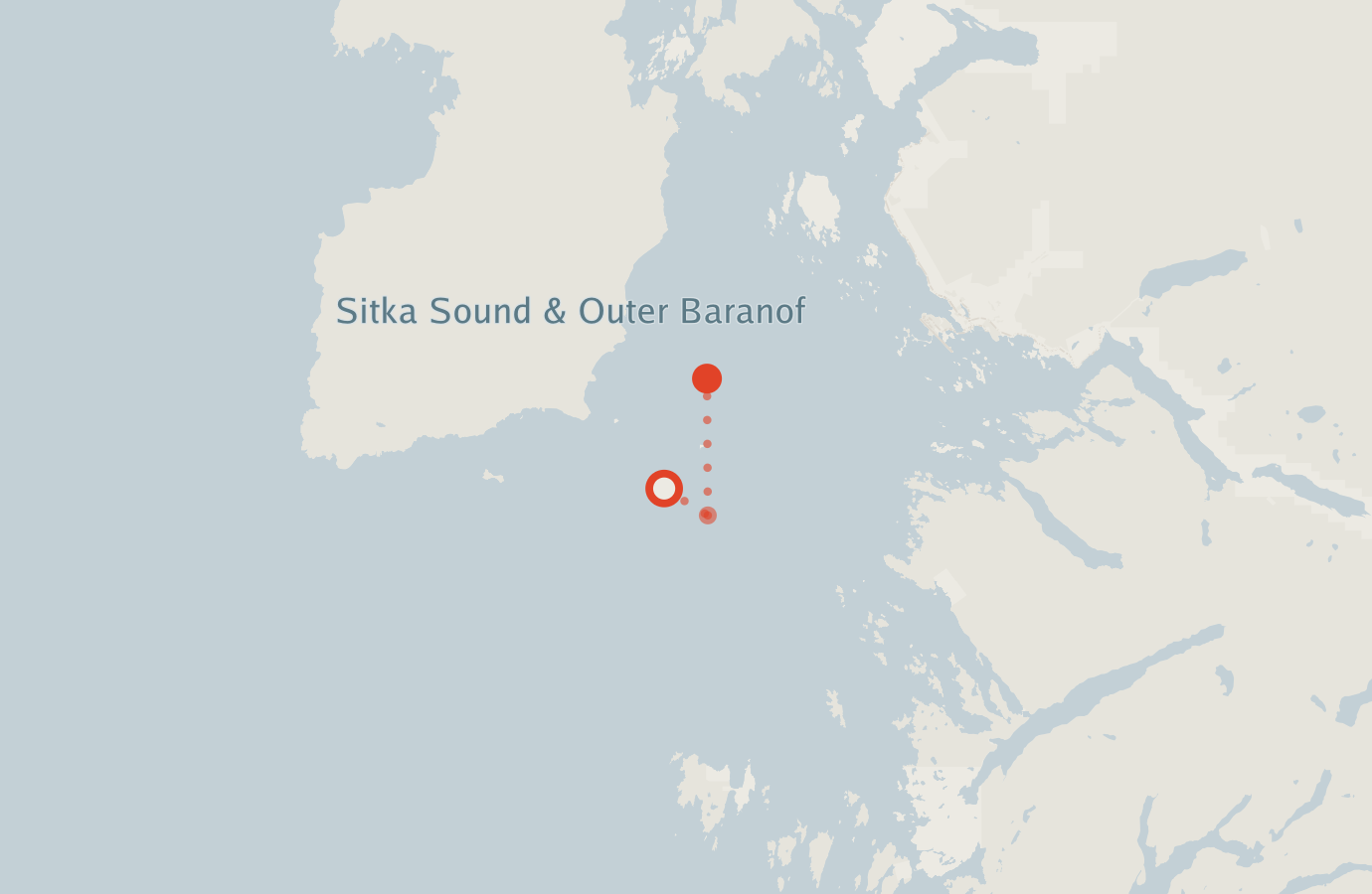 Activity map — real sighting points on an OpenStreetMap basemap