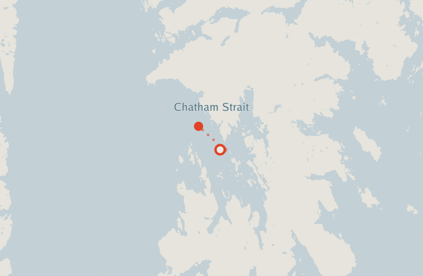 Activity map — real sighting points on an OpenStreetMap basemap