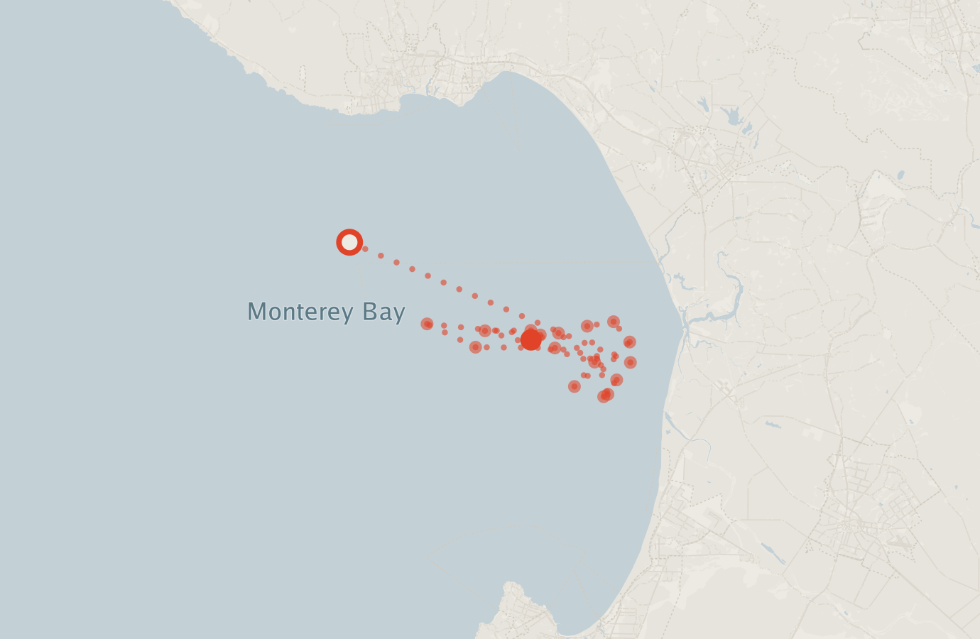 Activity map — real sighting points on an OpenStreetMap basemap