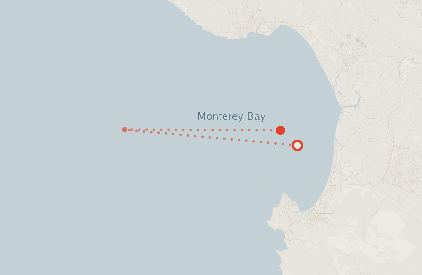 Activity map — real sighting points on an OpenStreetMap basemap