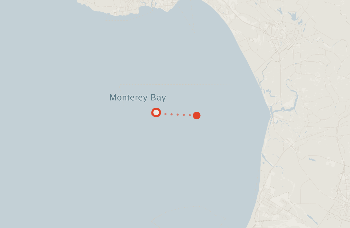 Activity map — real sighting points on an OpenStreetMap basemap