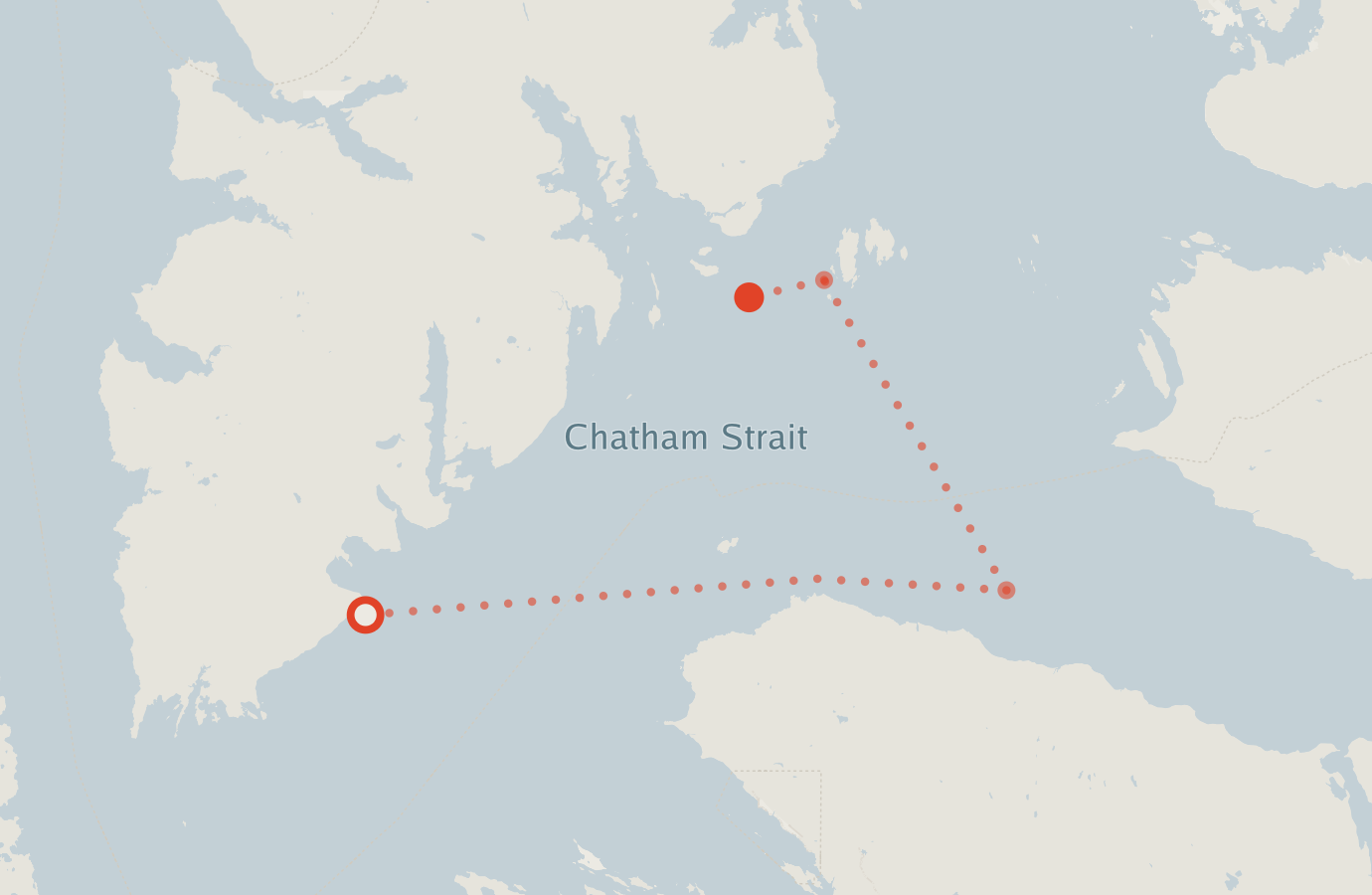 Activity map — real sighting points on an OpenStreetMap basemap