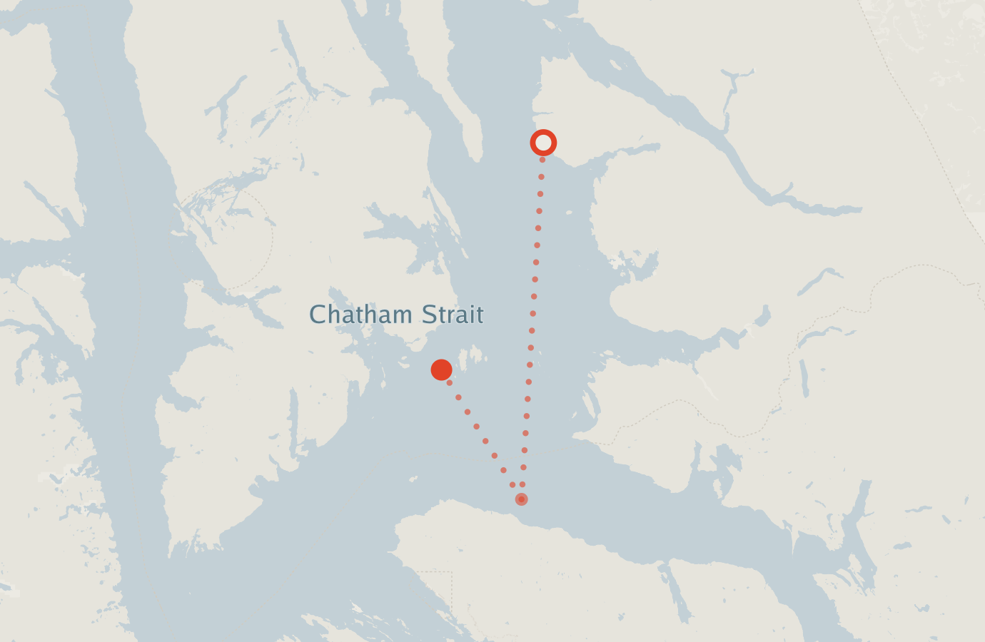 Activity map — real sighting points on an OpenStreetMap basemap