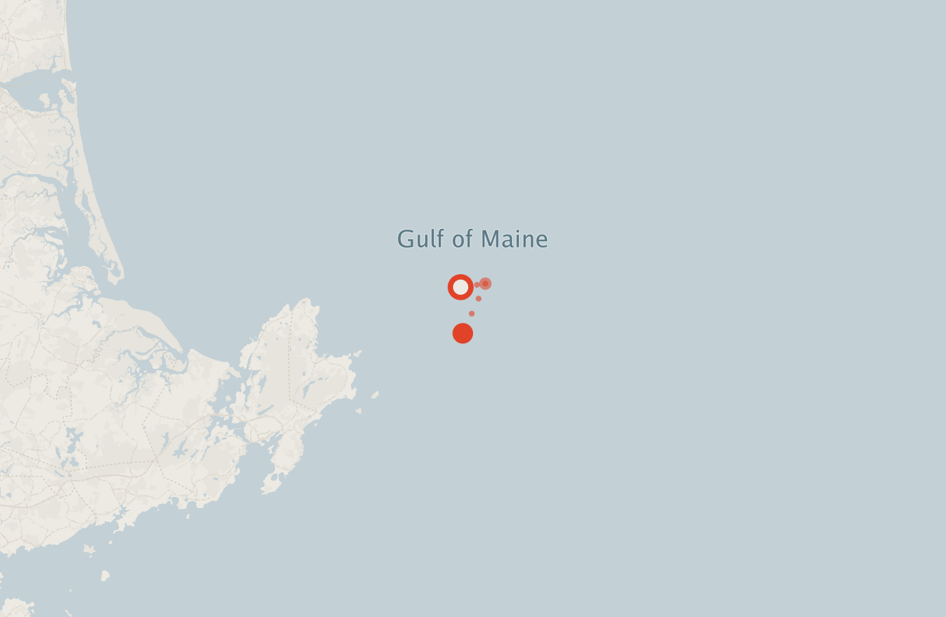 Activity map — real sighting points on an OpenStreetMap basemap