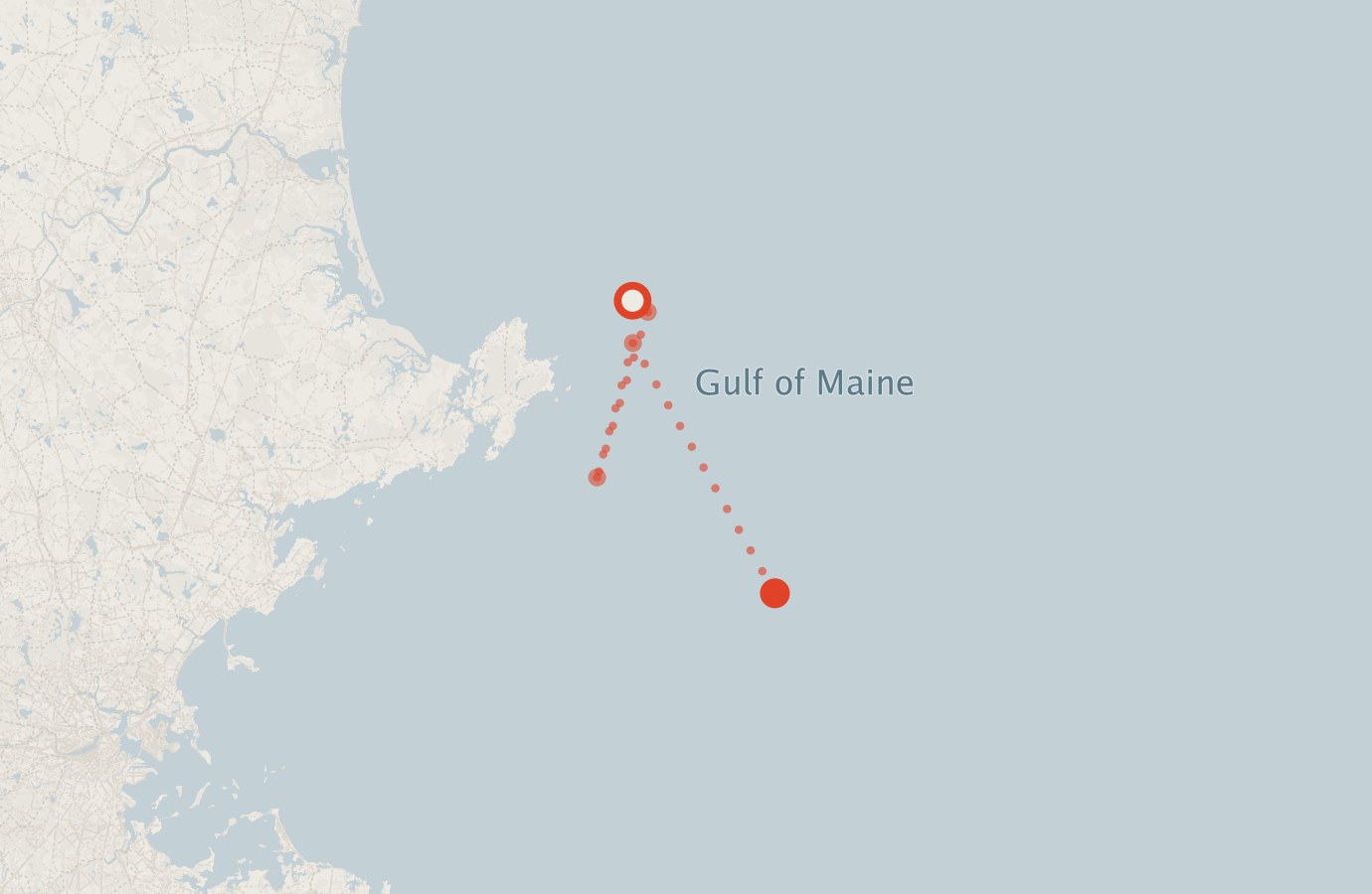 Activity map — real sighting points on an OpenStreetMap basemap