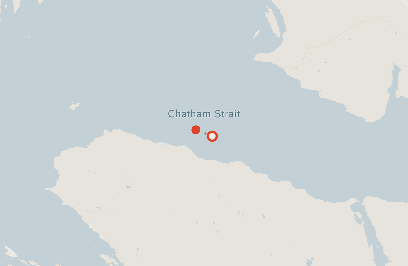 Activity map — real sighting points on an OpenStreetMap basemap