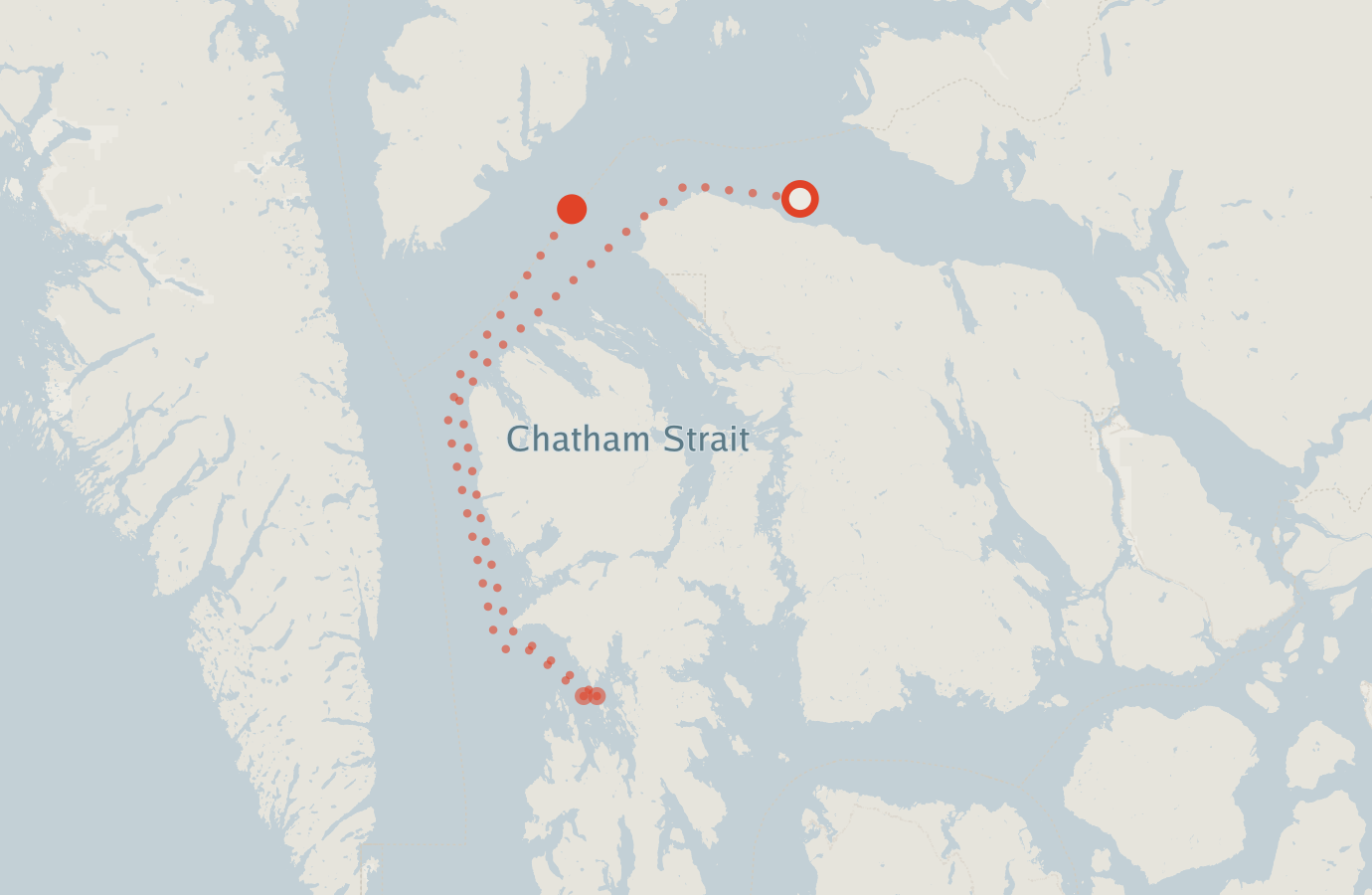 Activity map — real sighting points on an OpenStreetMap basemap