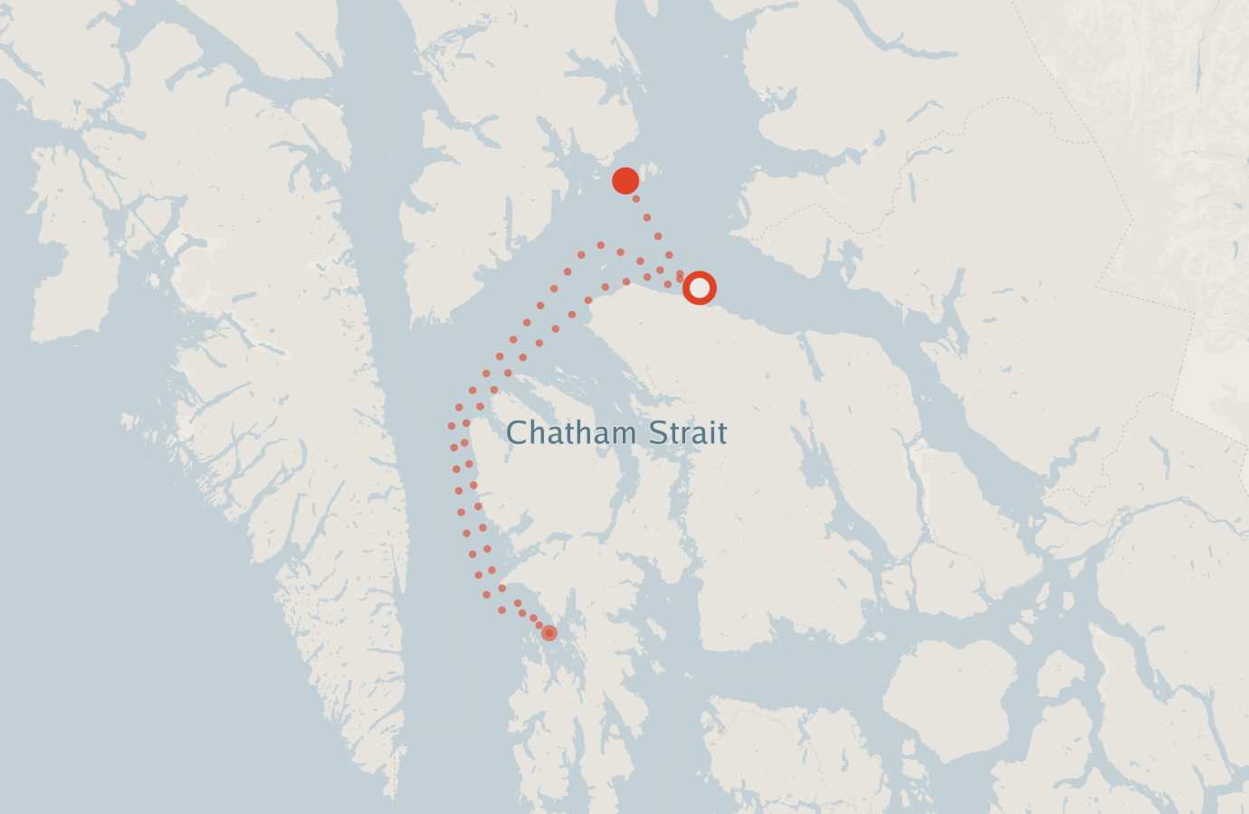Activity map — real sighting points on an OpenStreetMap basemap