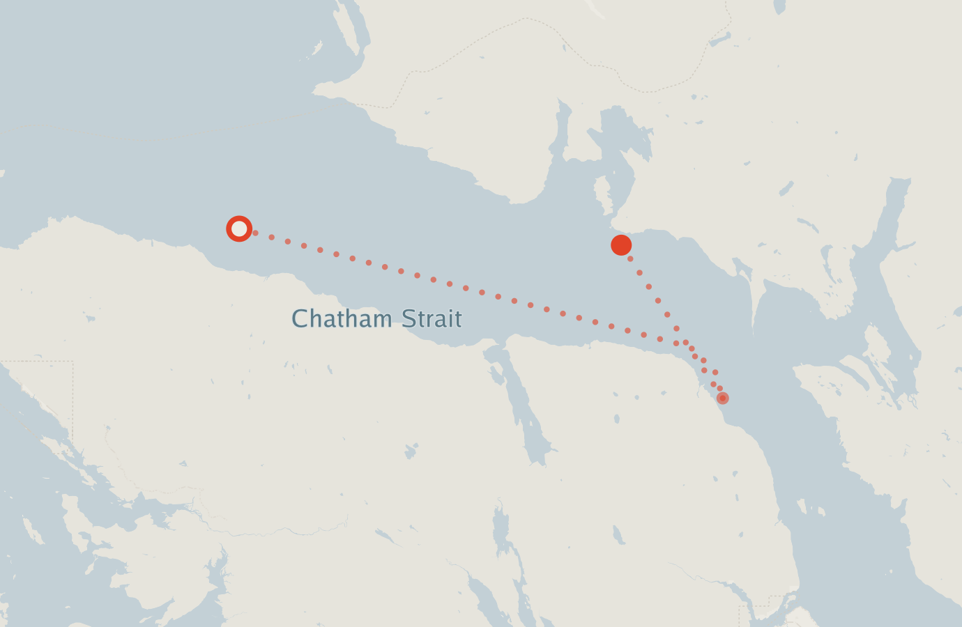 Activity map — real sighting points on an OpenStreetMap basemap