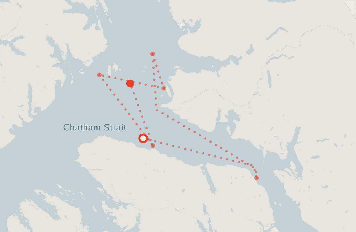 Activity map — real sighting points on an OpenStreetMap basemap