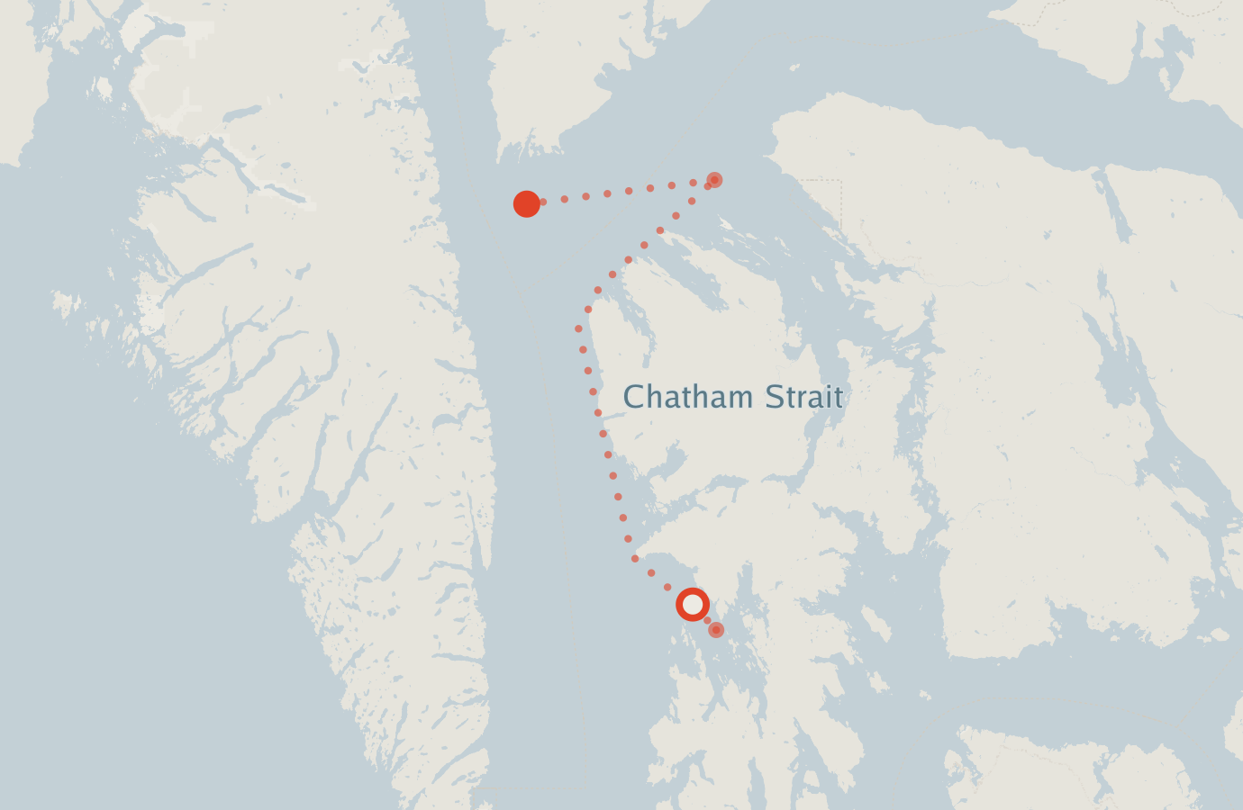 Activity map — real sighting points on an OpenStreetMap basemap