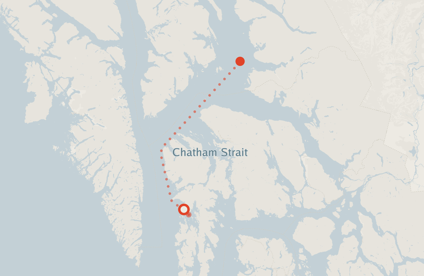 Activity map — real sighting points on an OpenStreetMap basemap