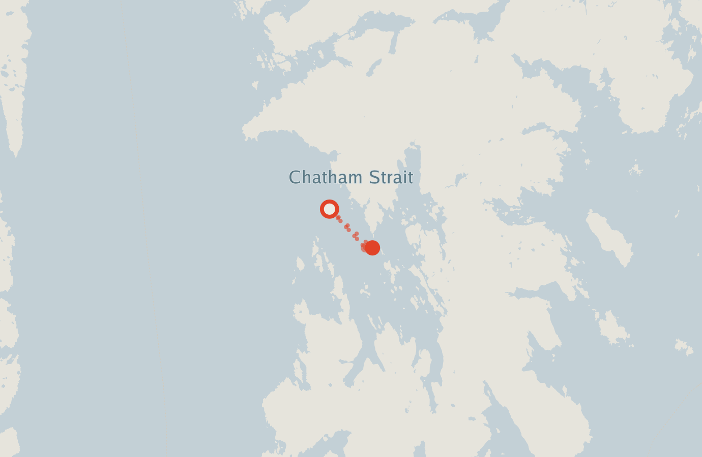 Activity map — real sighting points on an OpenStreetMap basemap