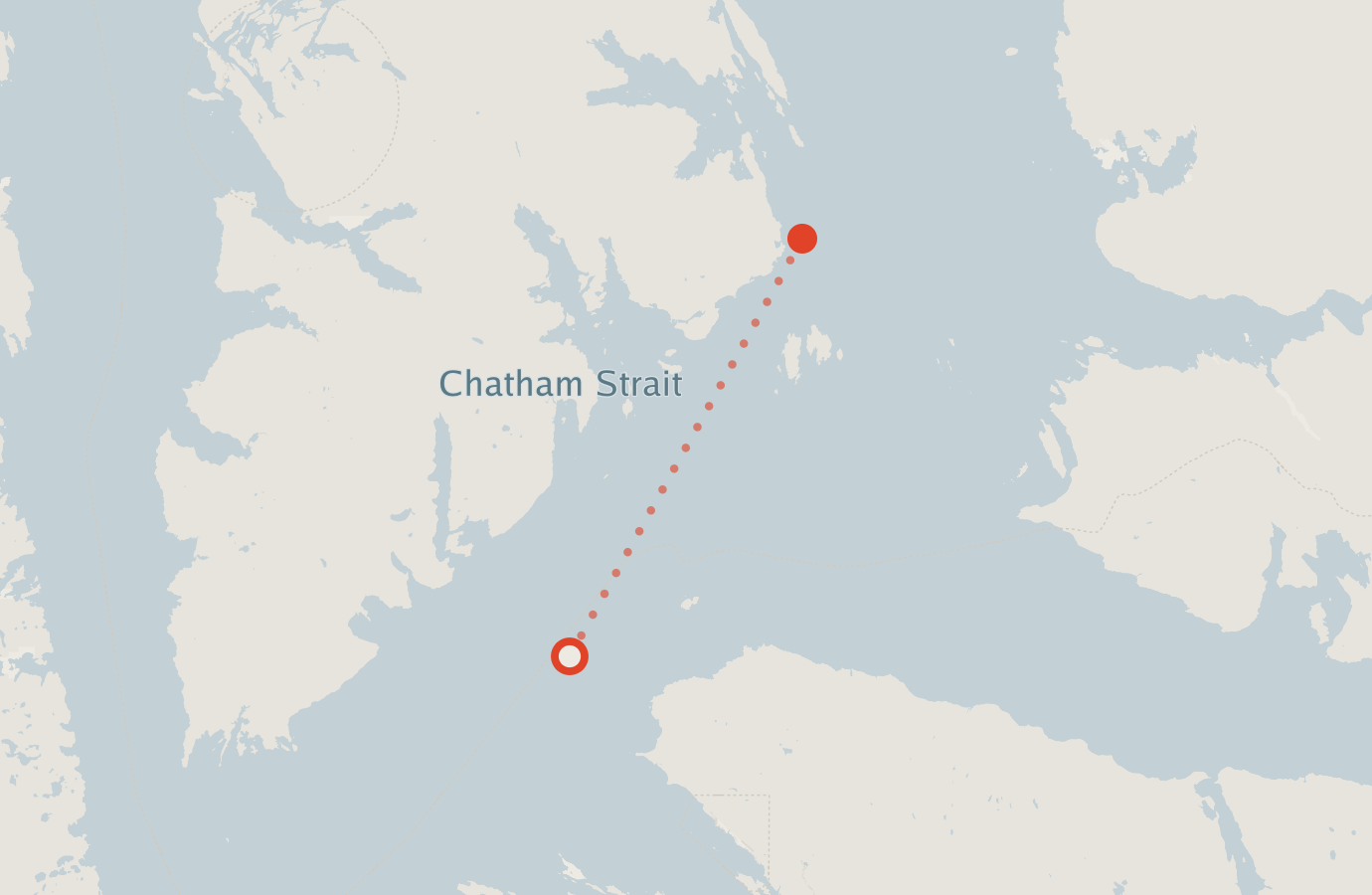 Activity map — real sighting points on an OpenStreetMap basemap
