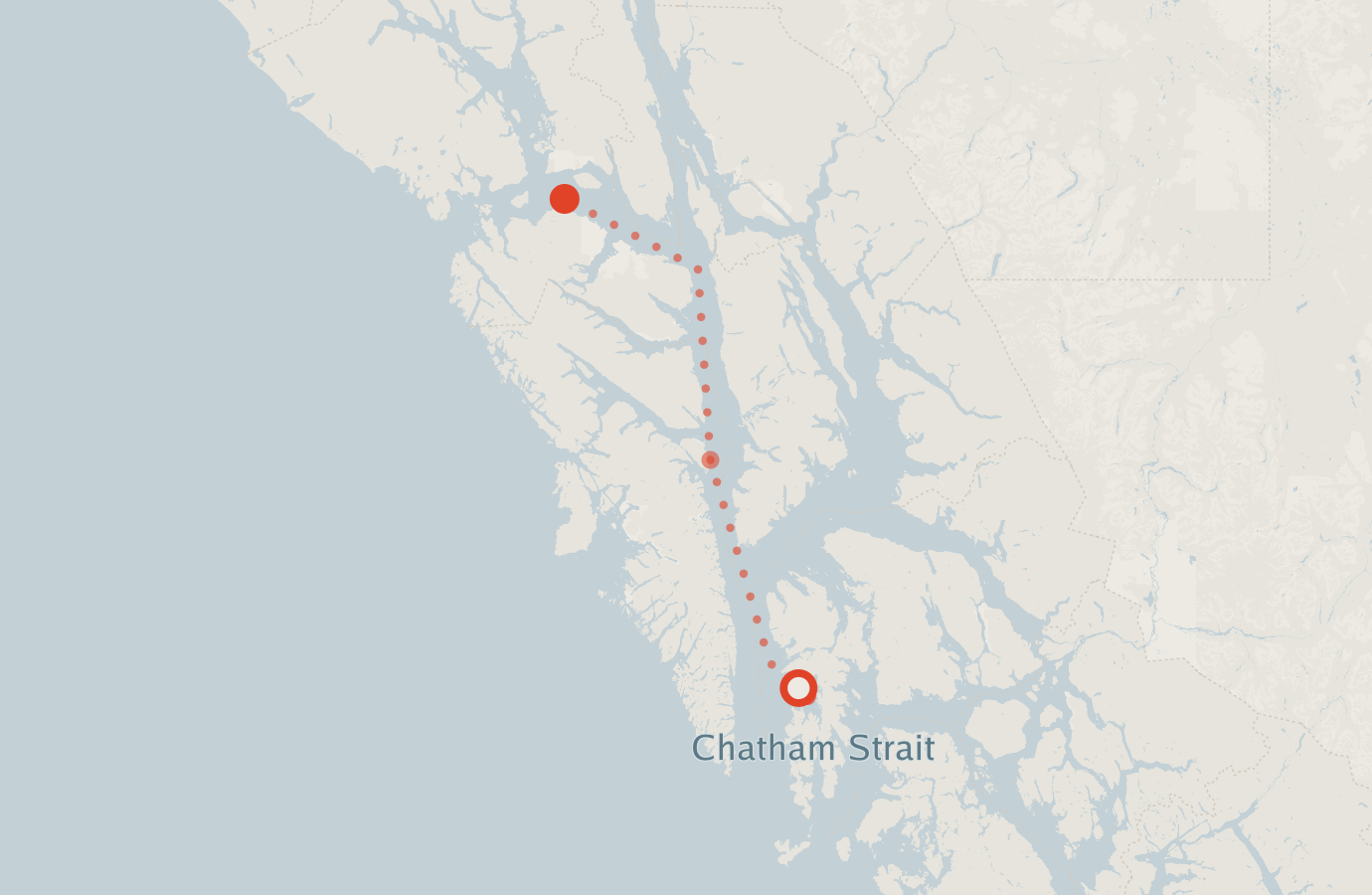 Activity map — real sighting points on an OpenStreetMap basemap