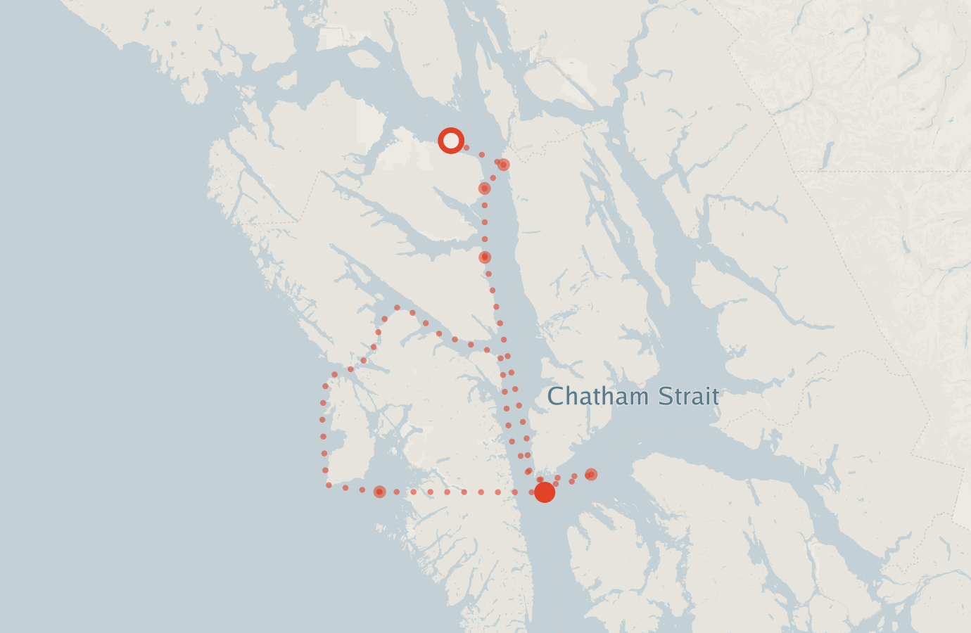 Activity map — real sighting points on an OpenStreetMap basemap