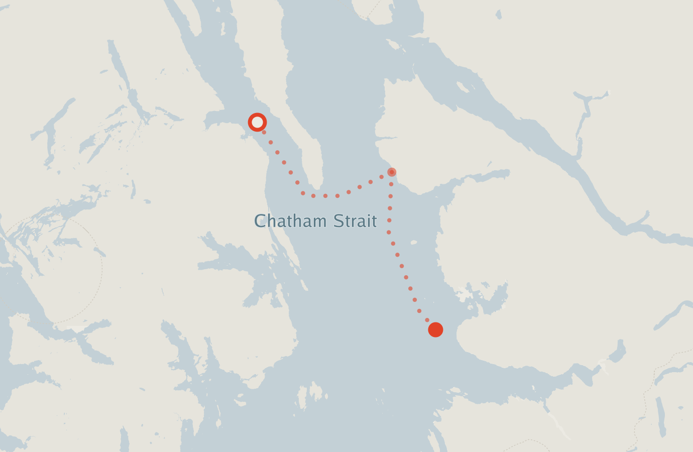 Activity map — real sighting points on an OpenStreetMap basemap