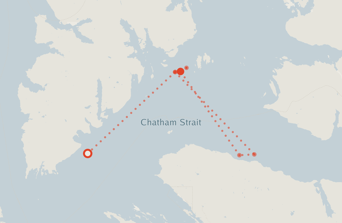 Activity map — real sighting points on an OpenStreetMap basemap