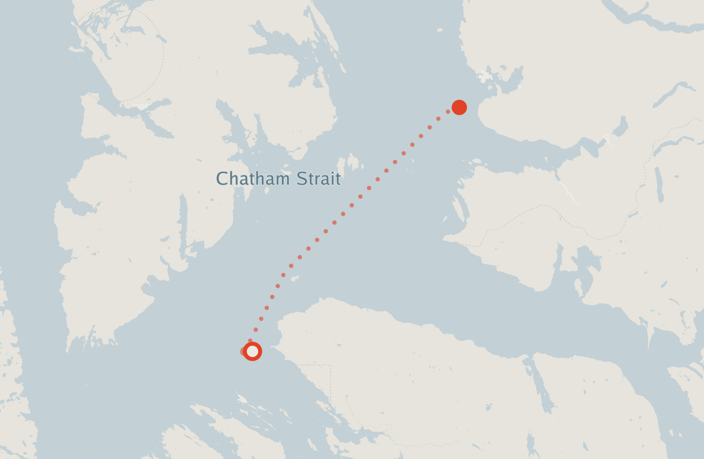Activity map — real sighting points on an OpenStreetMap basemap