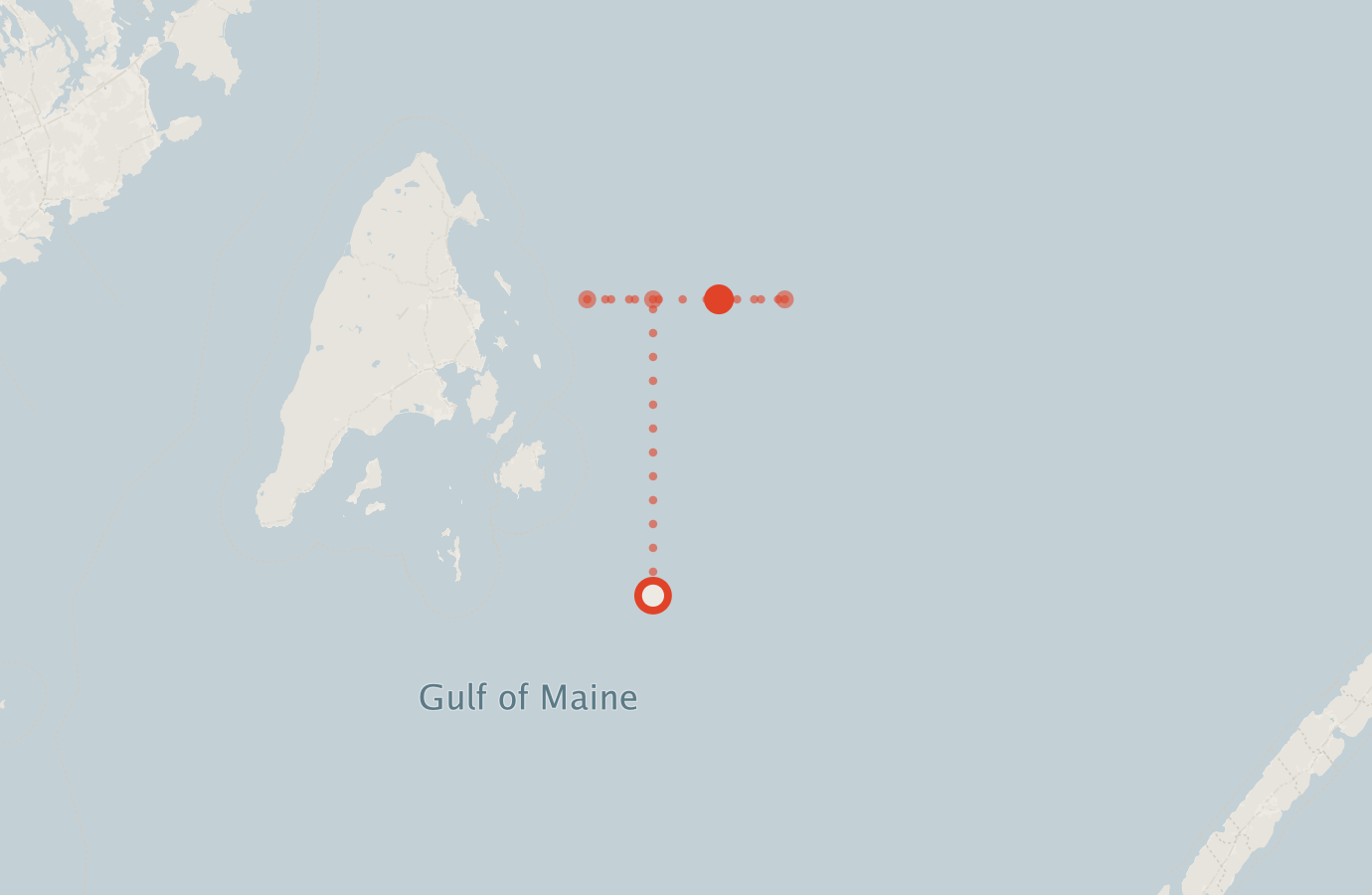 Activity map — real sighting points on an OpenStreetMap basemap