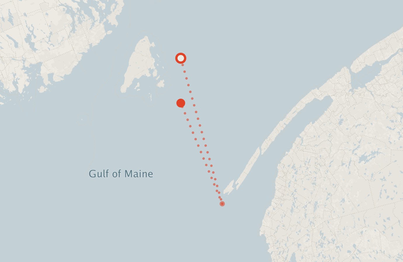 Activity map — real sighting points on an OpenStreetMap basemap