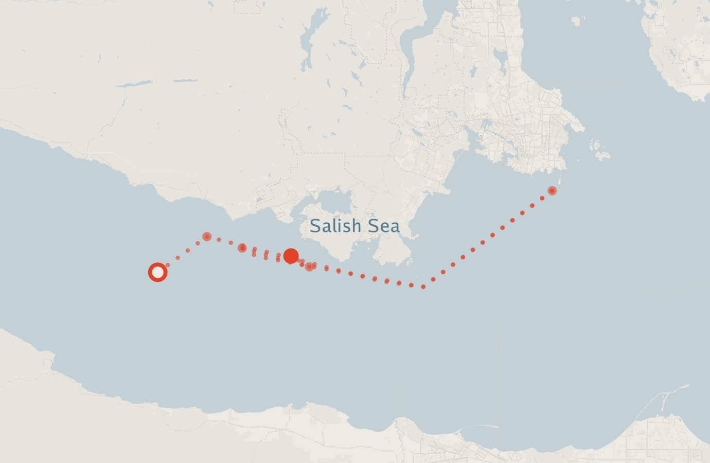 Activity map — real sighting points on an OpenStreetMap basemap