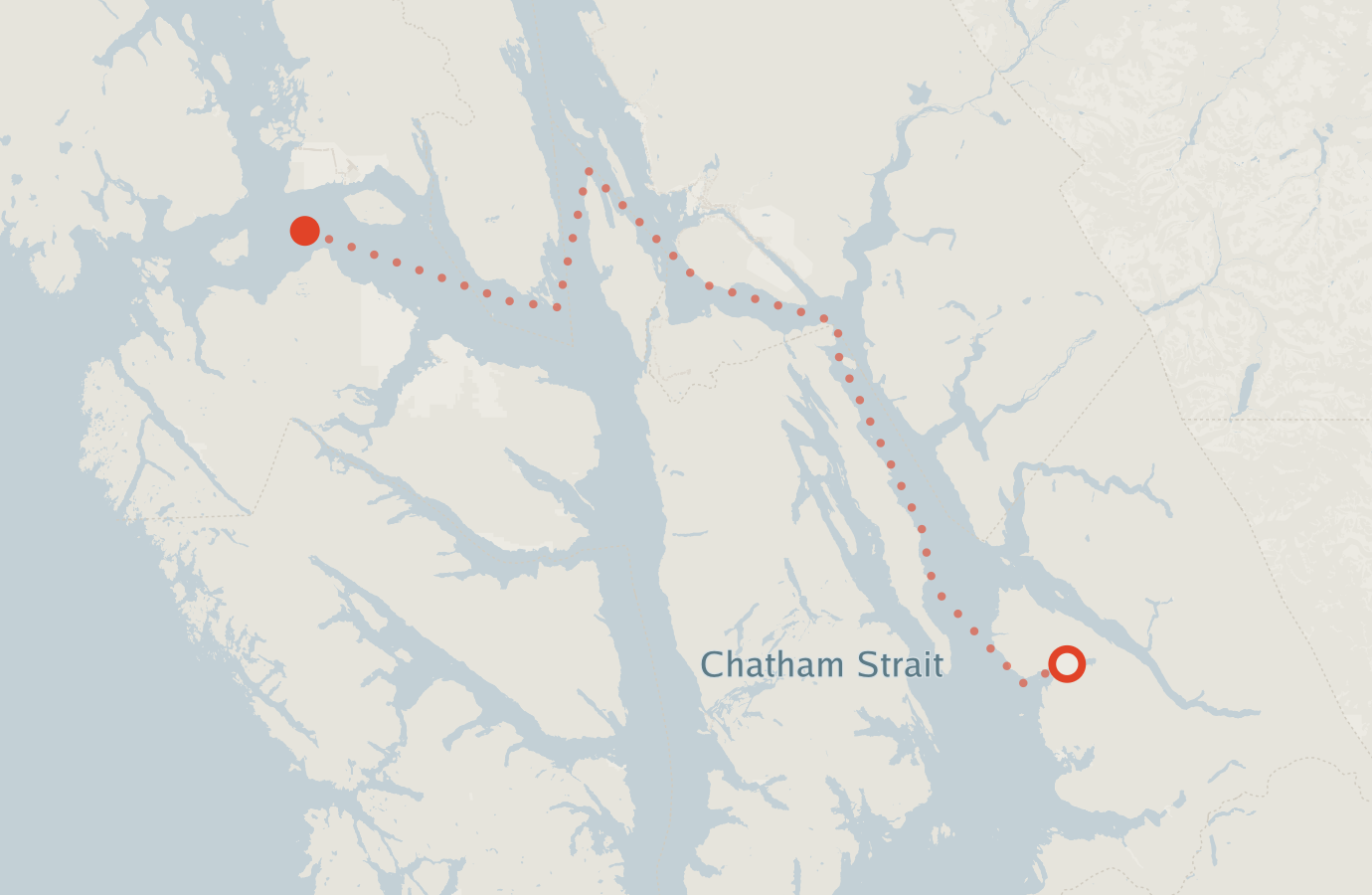 Activity map — real sighting points on an OpenStreetMap basemap