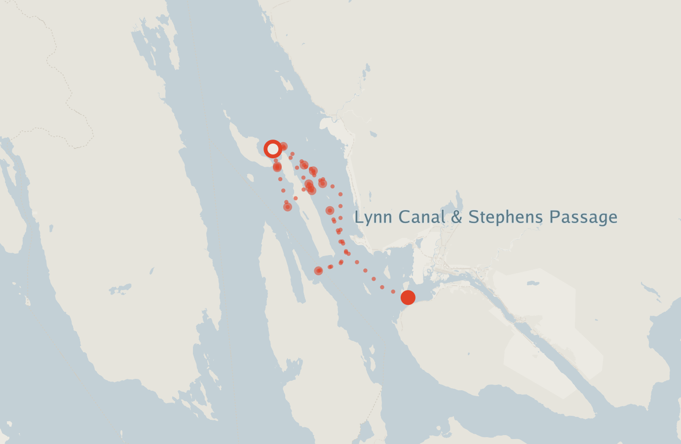 Activity map — real sighting points on an OpenStreetMap basemap