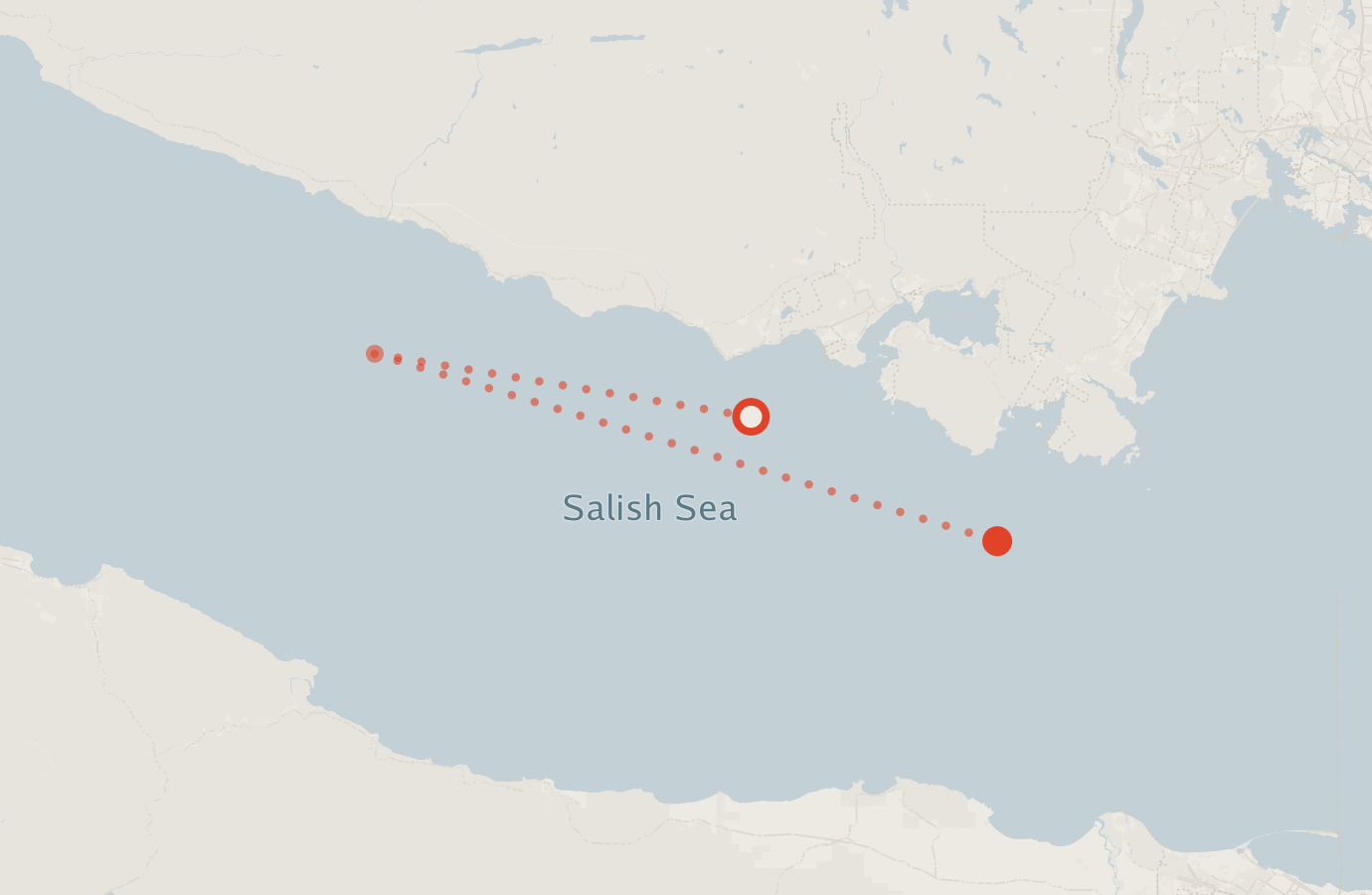 Activity map — real sighting points on an OpenStreetMap basemap