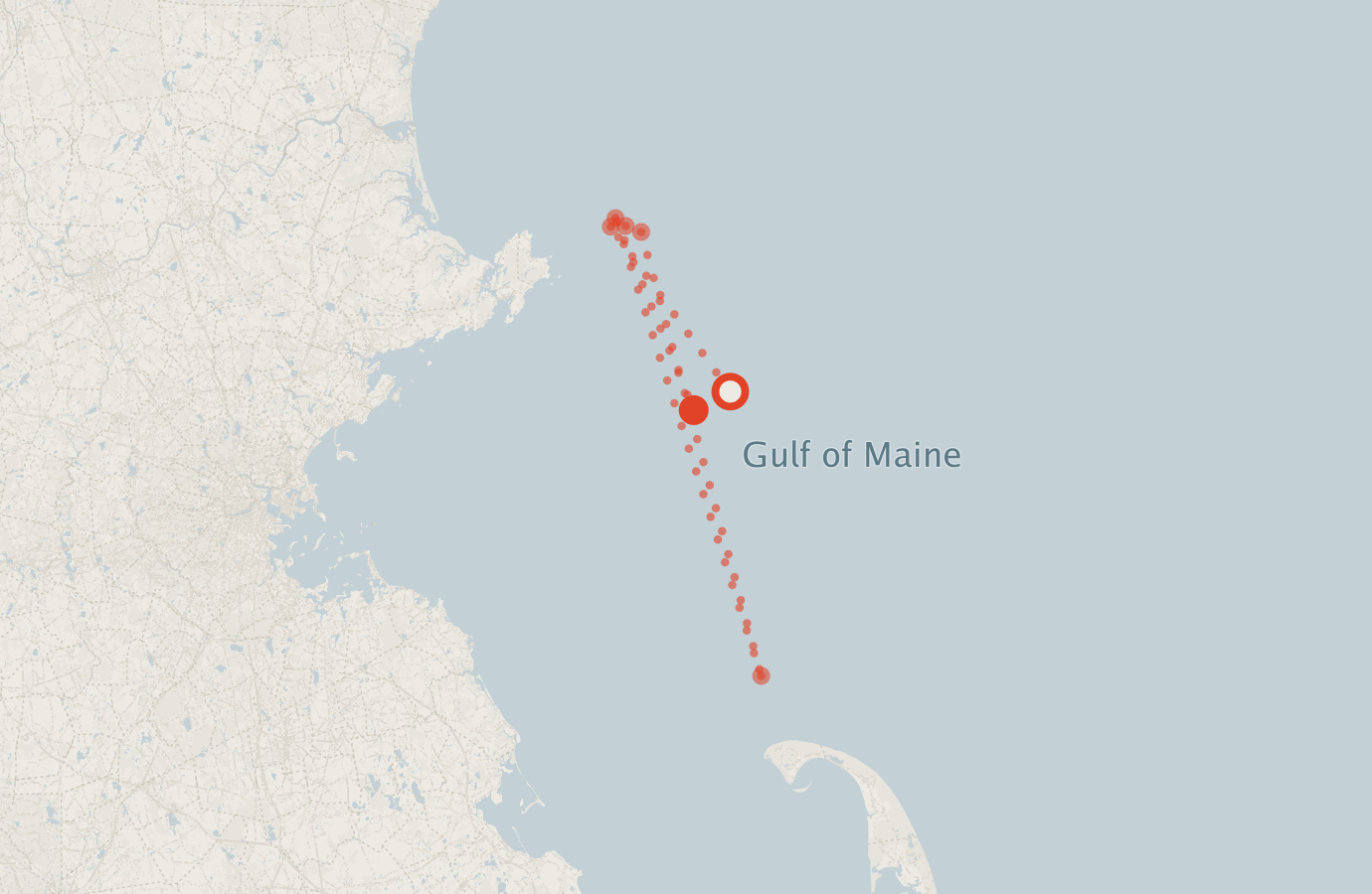 Activity map — real sighting points on an OpenStreetMap basemap