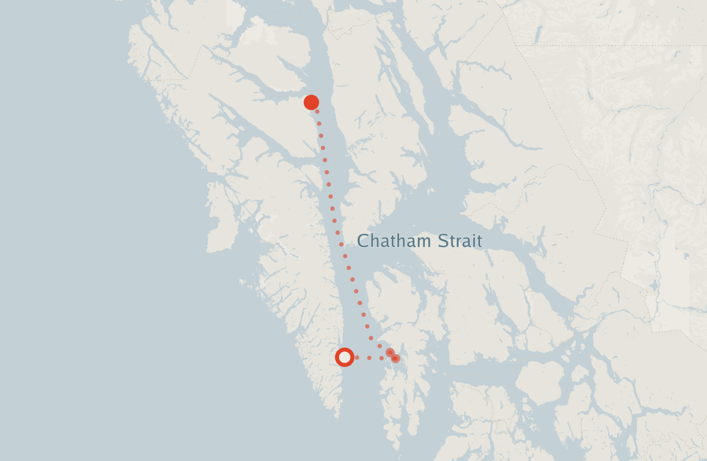 Activity map — real sighting points on an OpenStreetMap basemap
