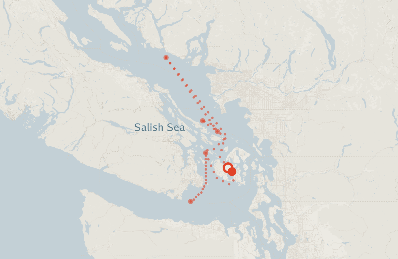 Activity map — real sighting points on an OpenStreetMap basemap