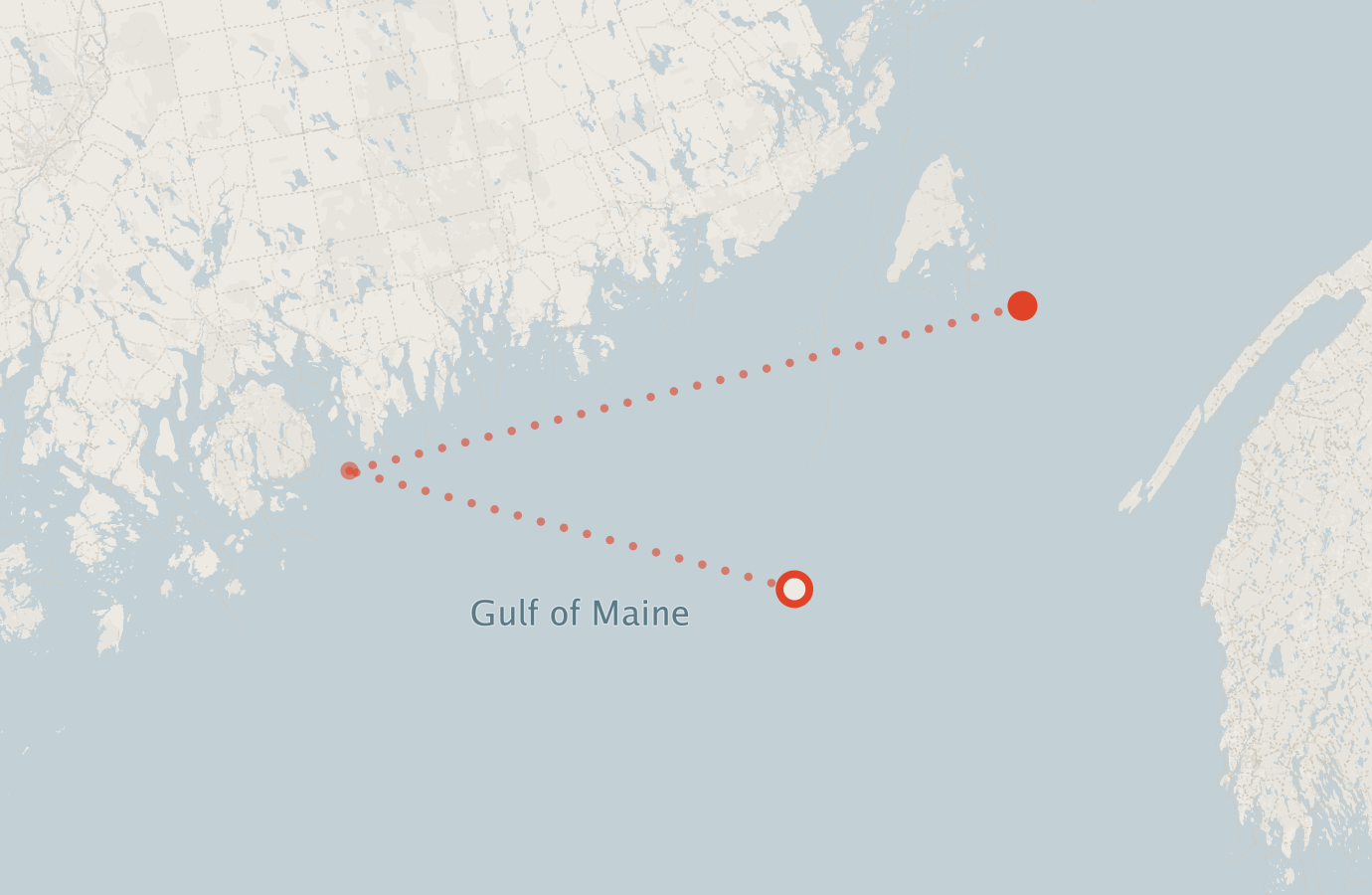 Activity map — real sighting points on an OpenStreetMap basemap