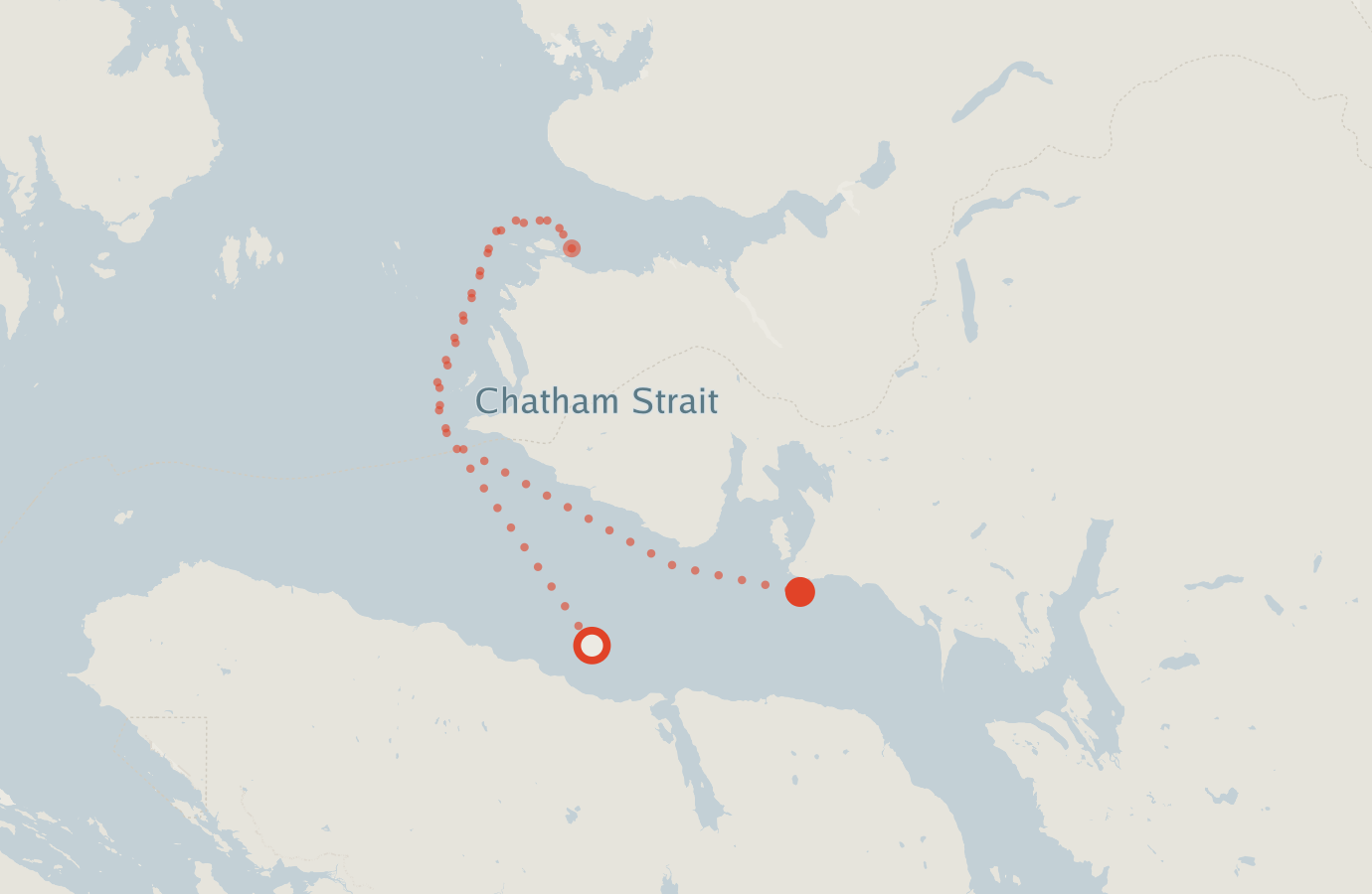 Activity map — real sighting points on an OpenStreetMap basemap