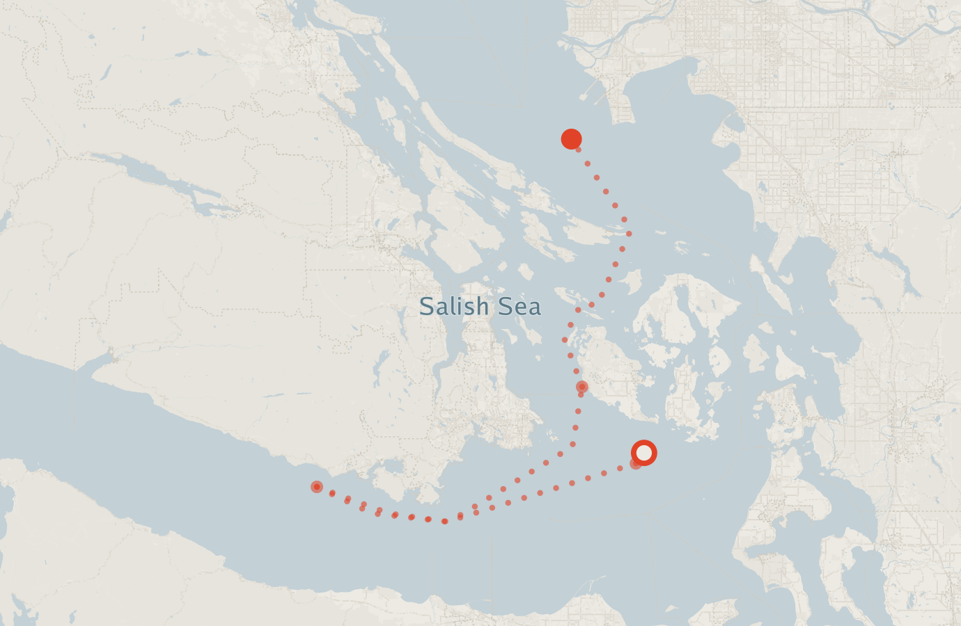 Activity map — real sighting points on an OpenStreetMap basemap