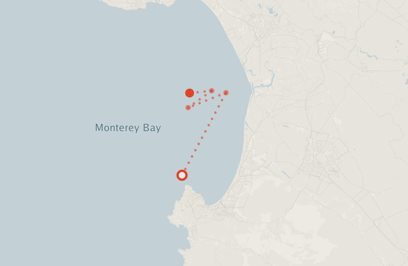 Activity map — real sighting points on an OpenStreetMap basemap