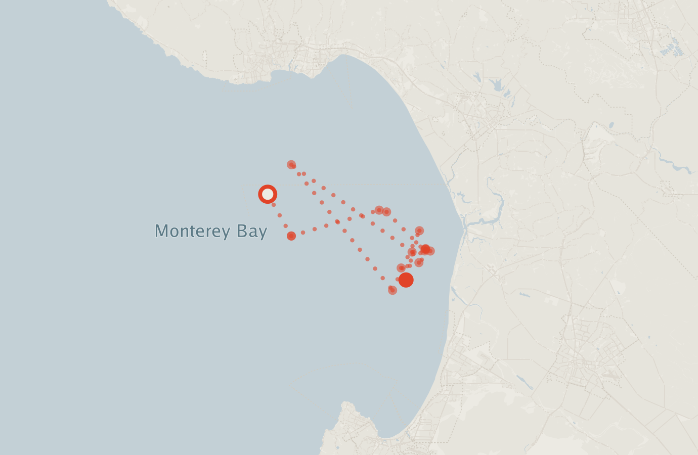 Activity map — real sighting points on an OpenStreetMap basemap