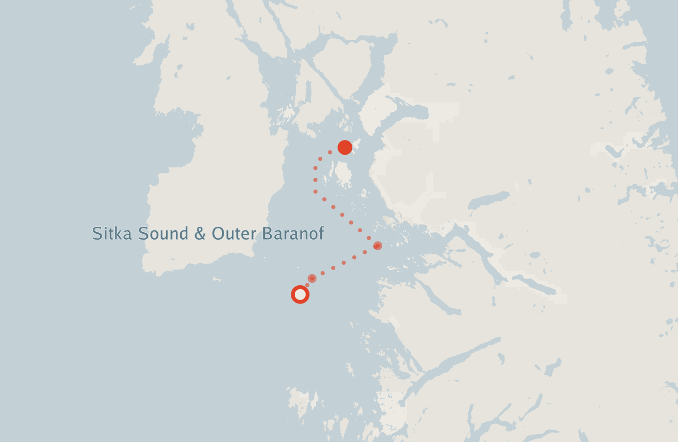Activity map — real sighting points on an OpenStreetMap basemap