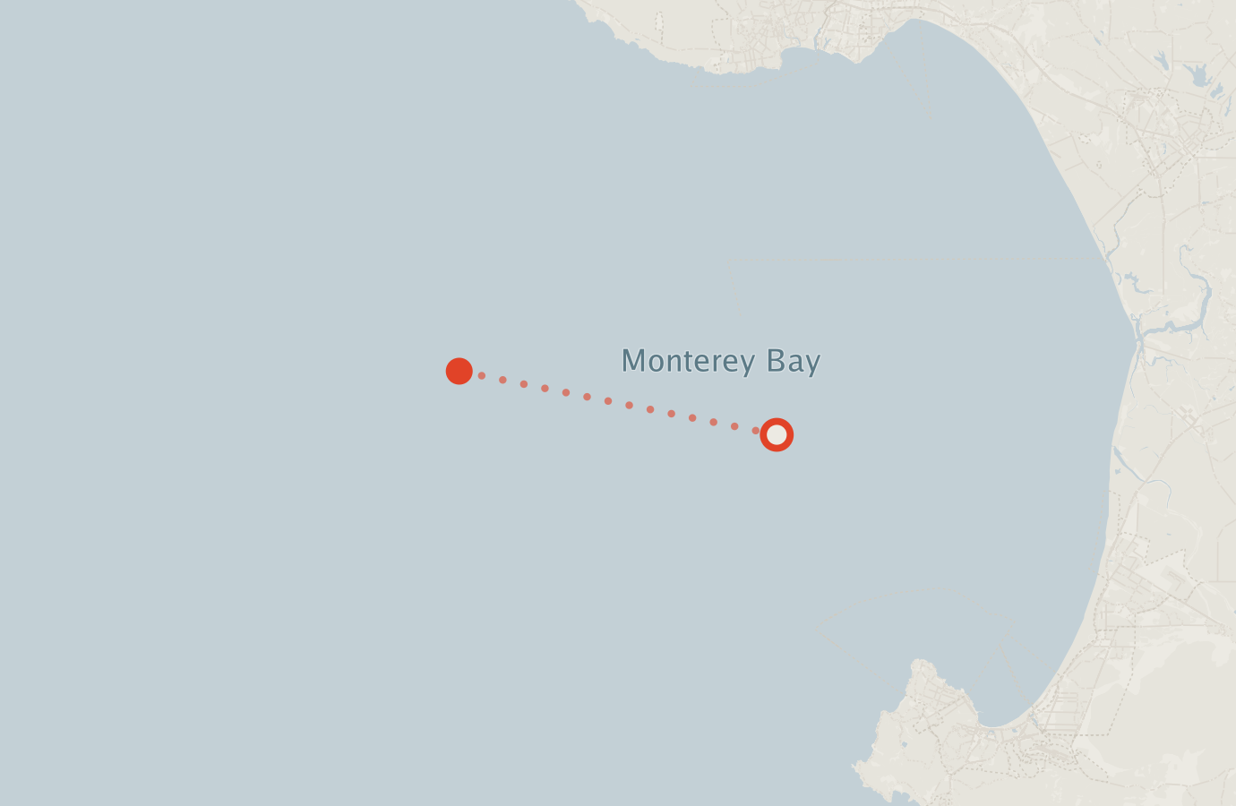 Activity map — real sighting points on an OpenStreetMap basemap