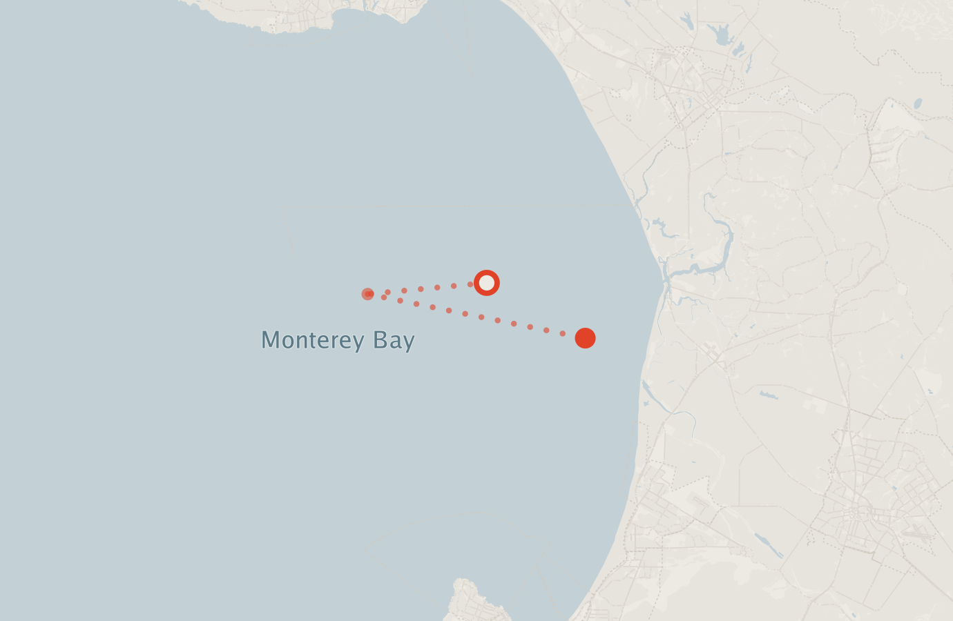 Activity map — real sighting points on an OpenStreetMap basemap
