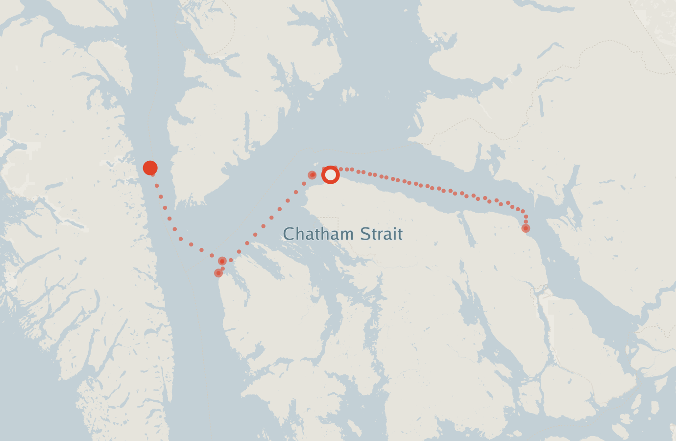 Activity map — real sighting points on an OpenStreetMap basemap