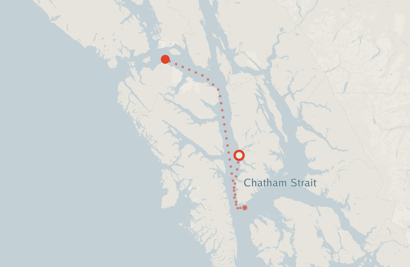 Activity map — real sighting points on an OpenStreetMap basemap