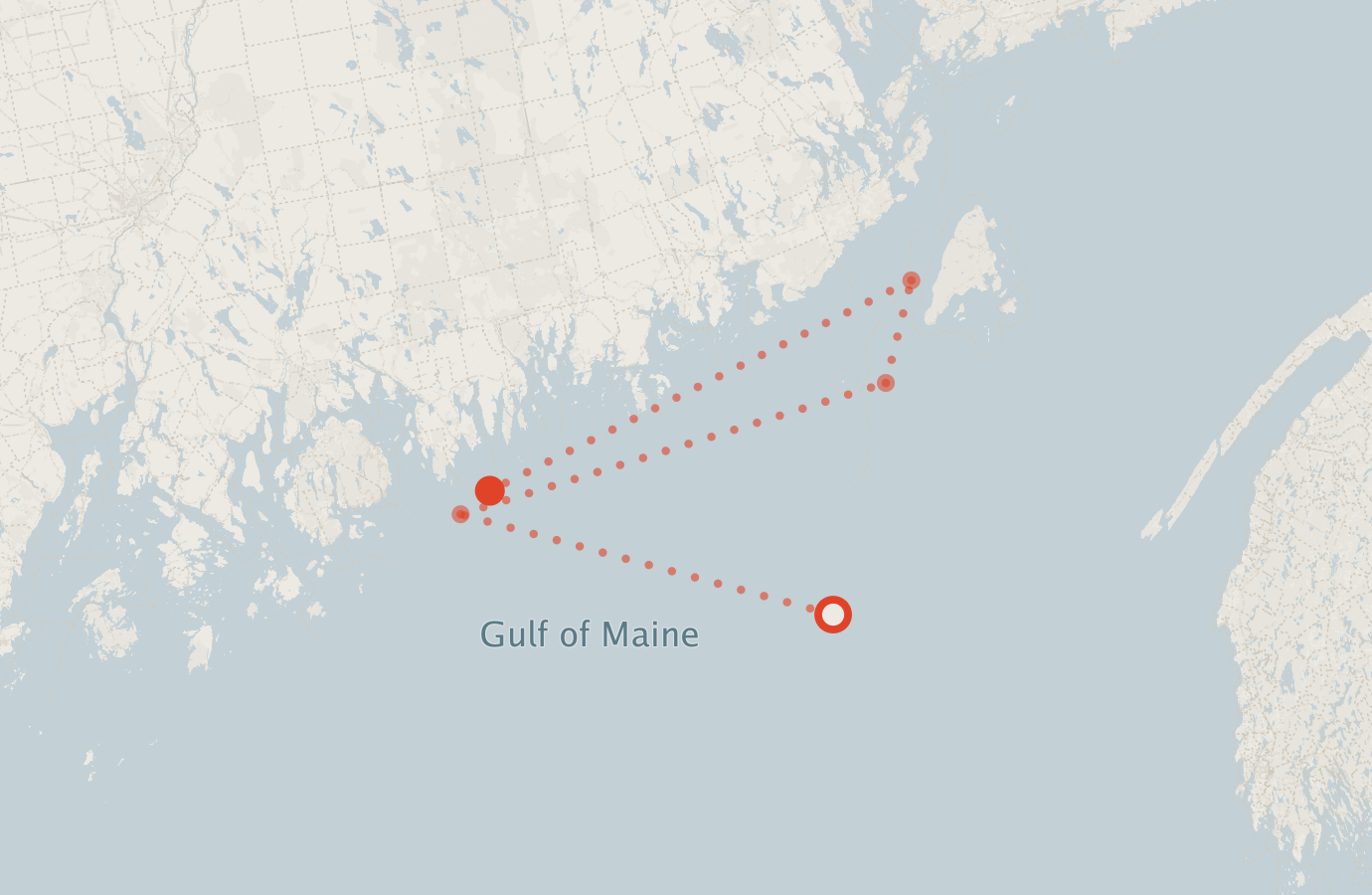 Activity map — real sighting points on an OpenStreetMap basemap