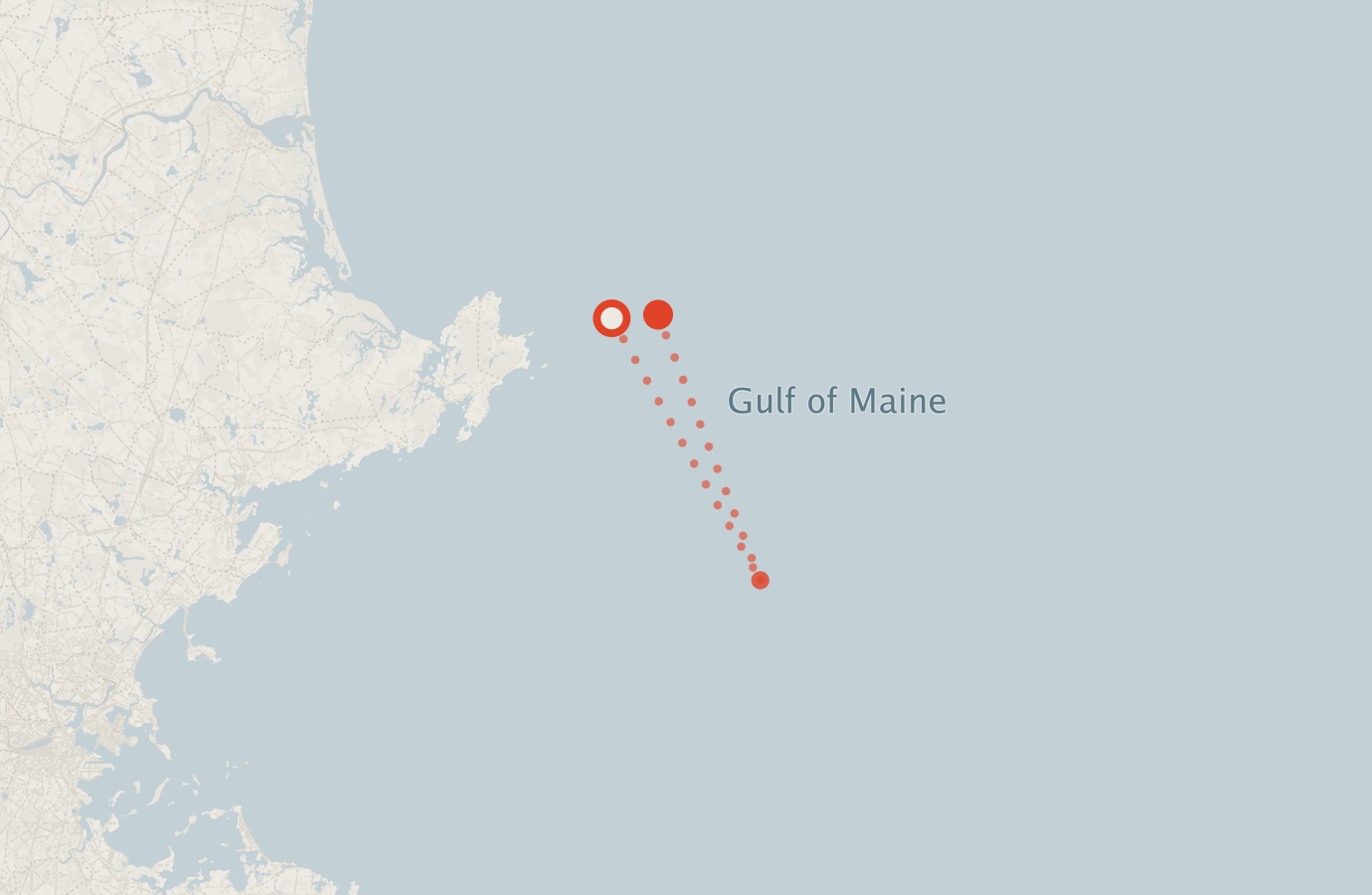 Activity map — real sighting points on an OpenStreetMap basemap