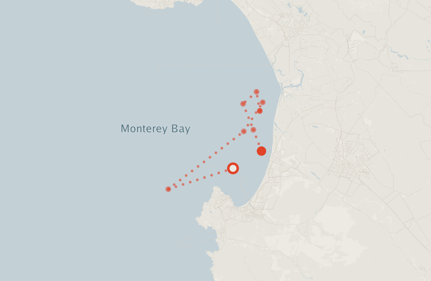 Activity map — real sighting points on an OpenStreetMap basemap