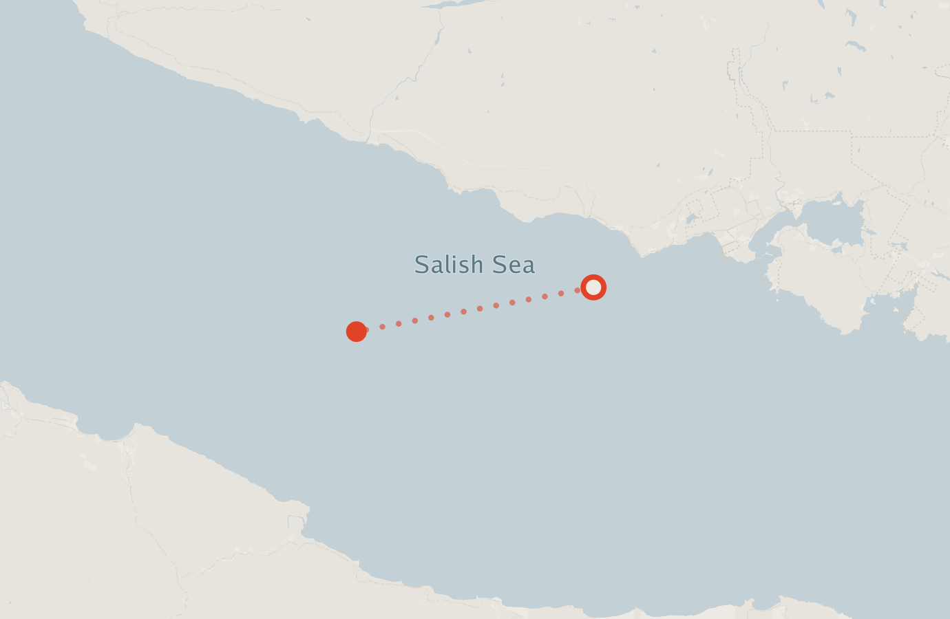 Activity map — real sighting points on an OpenStreetMap basemap