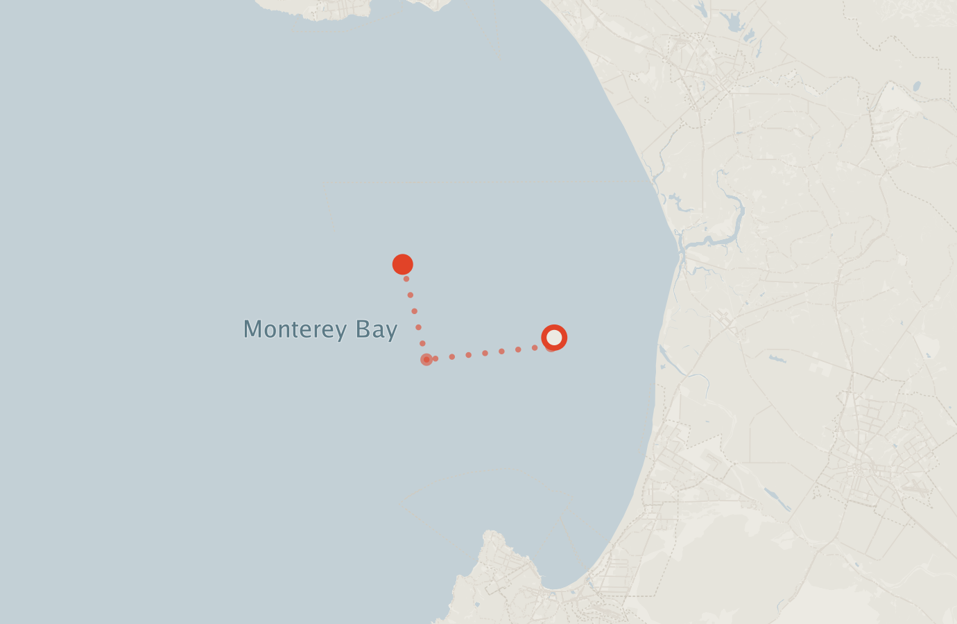 Activity map — real sighting points on an OpenStreetMap basemap